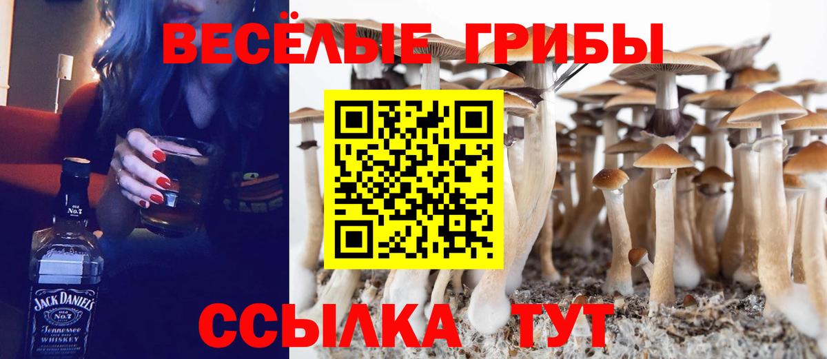 Псилоцибиновые грибы Psilocybe  Галлюциногенные грибы мухоморы  Вход с VPN  Карталы 