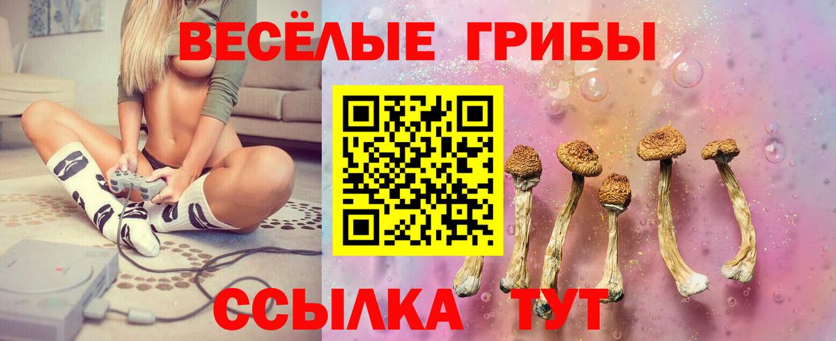 Псилоцибиновые грибы прущие грибы Карталы
